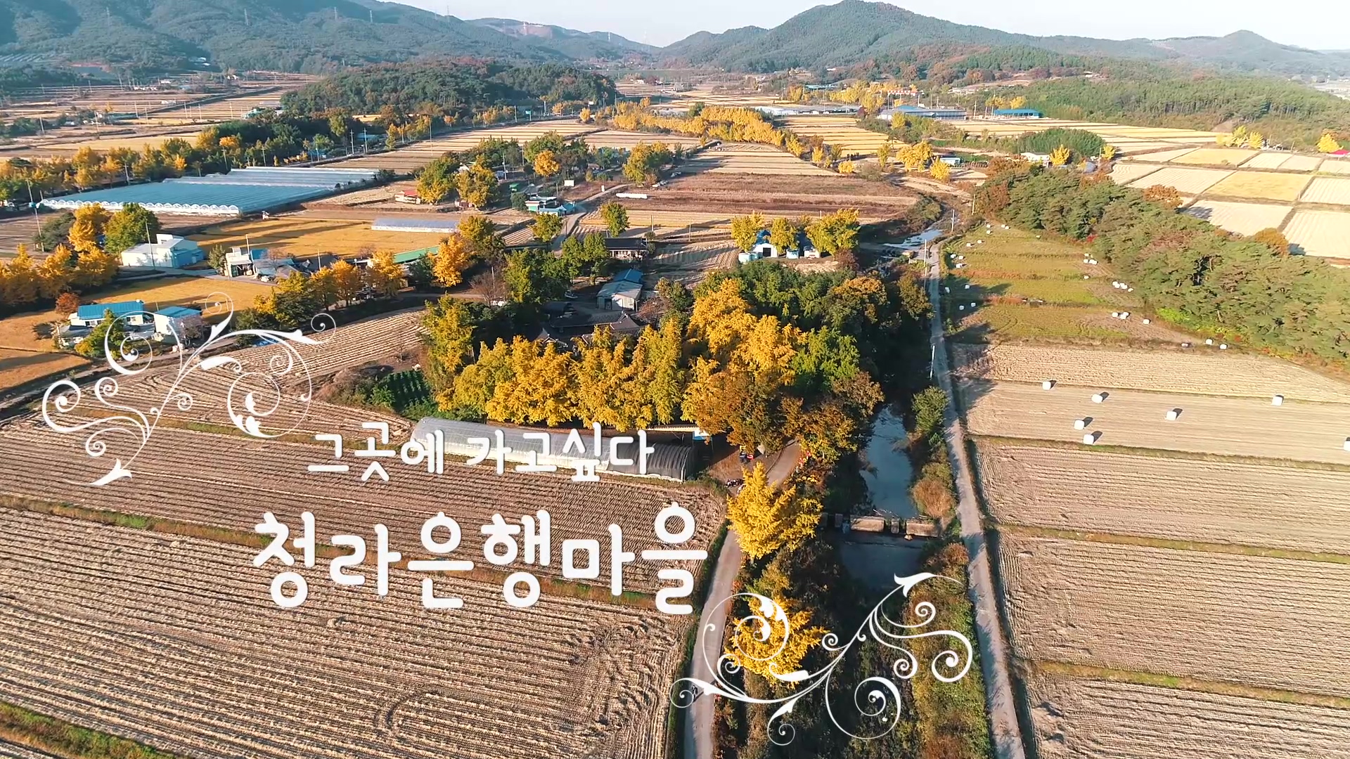 그곳에 가고 싶다 '청라은행마을'